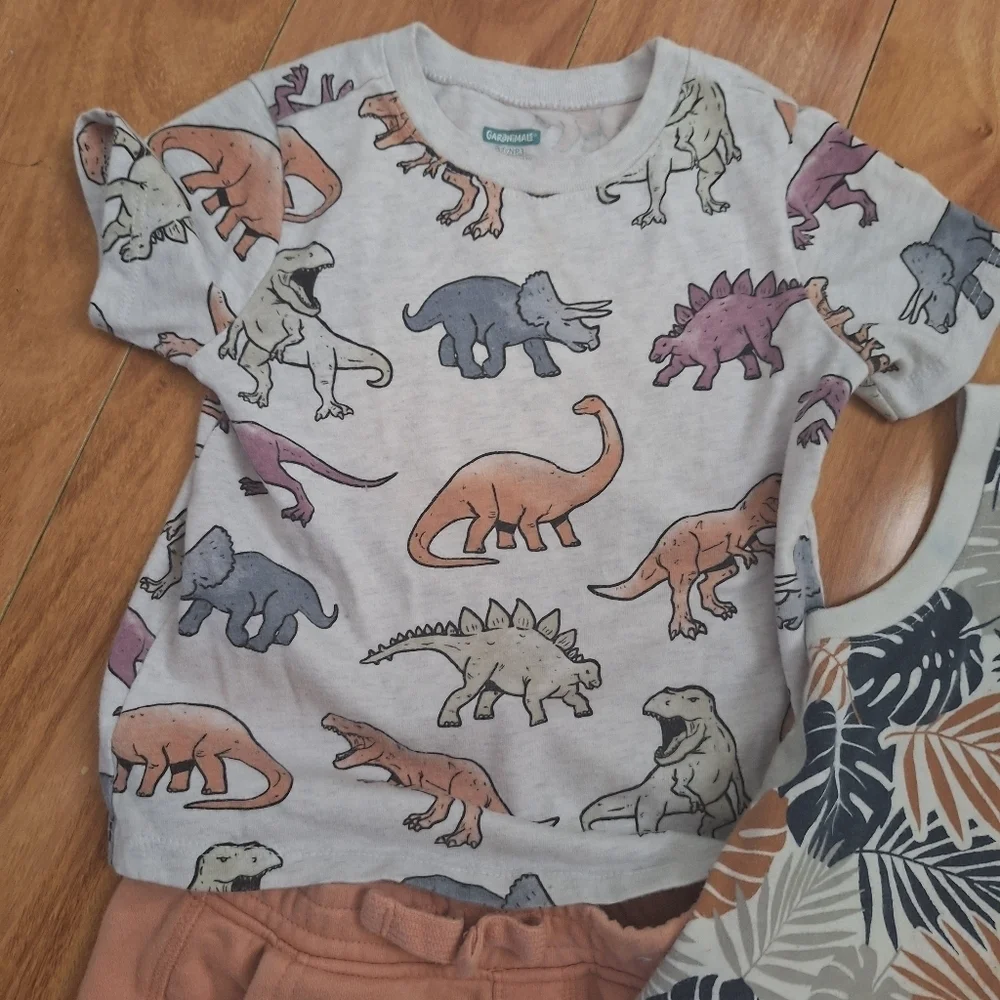 Kids' Summer Outfit Set - Dinosaur, Leaf, and Surfboard Prints